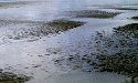 Sand Flats